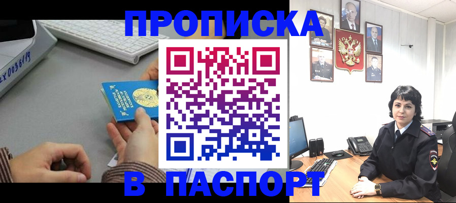 прописка в Ельне